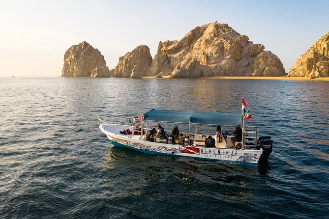 2 Dives in the Cabo Marine Park - Who this scuba outing suits best (and who might pass)