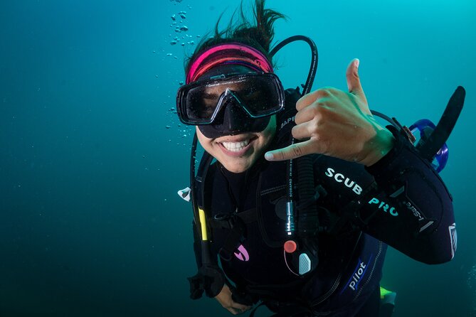 2 Dives in the Cabo Marine Park - Three Cabo landmarks: Land’s End, Pelican Rock, Neptune’s Finger