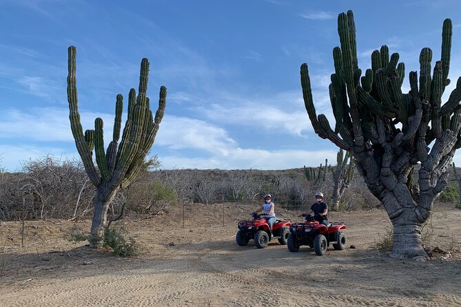 2-Hour ATV Riding Experience in San Jose del Cabo - Wildlife and “small break” moments along the coast