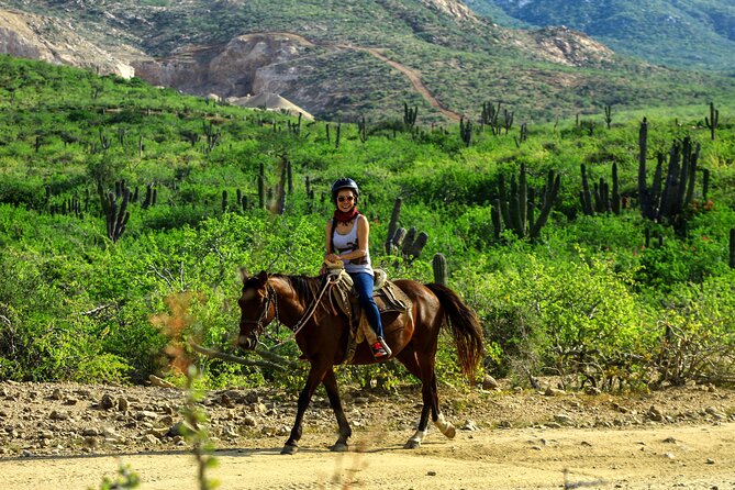 2 Hours Horseback Riding Adventure in Cabo - Hotel Pickup to San Jose del Cabo: Less Hassle, More Riding Time