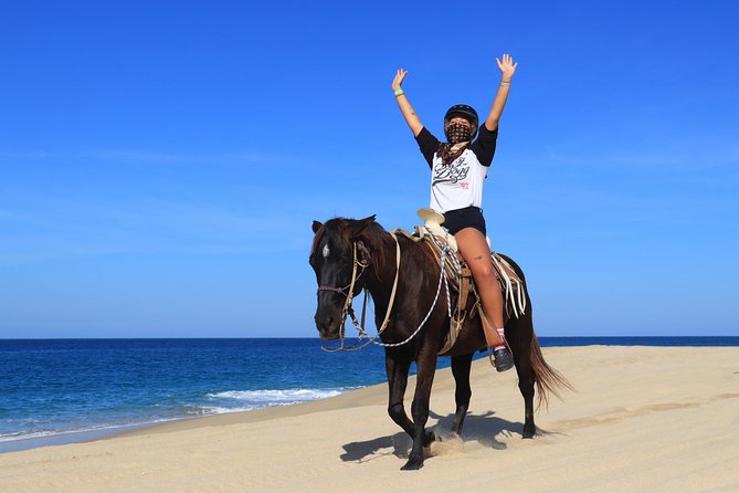 2 Hours Horseback Riding Adventure in Cabo - Meeting Your Horse: Training and Equipment That Actually Help