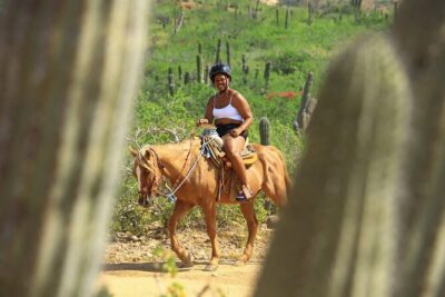 2 Hours Horseback Riding Adventure in Cabo - Animal Sanctuary First: Birds, a Giant Tortoise, and a Calm Start