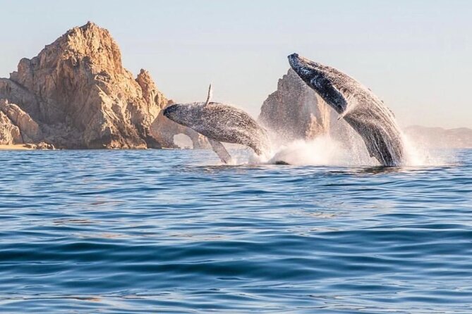 2 in 1 Tour | Arc Tour with Beach Drop - From Medano 39 to the rocks: what this 3-hour tour delivers