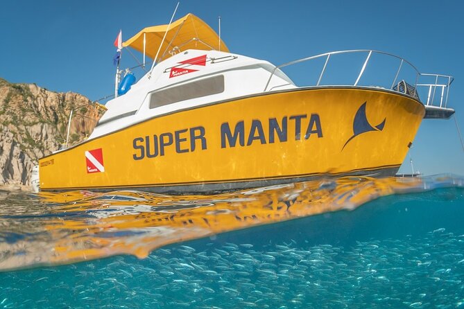 2-Tank Scuba Dive in Cabo San Lucas Reserve for Certified Divers - Cabo’s Sea of Cortez: Calm Bay Water and a Real Marine Park