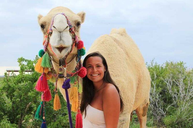 2x1 Tour: Cabo San Lucas Arch + Camels Ride + Pick up! - Desert safari ride plus tequila tasting: the extras that add up