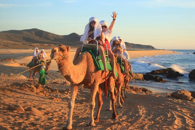 2x1 Tour: Cabo San Lucas Arch + Camels Ride + Pick up! - Price and value: what $55 really includes (and what it doesn’t)