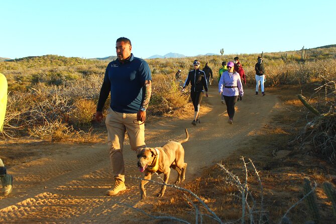 3 Hour Hiking Activity at the Hidden Arch Of Los Cabos - Price and value: is $59 worth it for 3 hours?