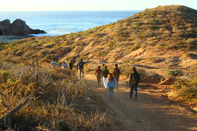 3 Hour Hiking Activity at the Hidden Arch Of Los Cabos - Who this tour suits best