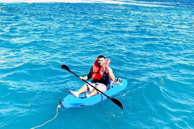 3 hour Snorkeling and Catamaran in Cabo San Lucas - Wildlife: whales, sea otters, and the realistic expectation game