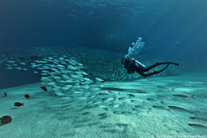 3-Tank Scuba in Marine Reserve and Corridor for Certified Divers - Where You Meet and How the Morning Flows