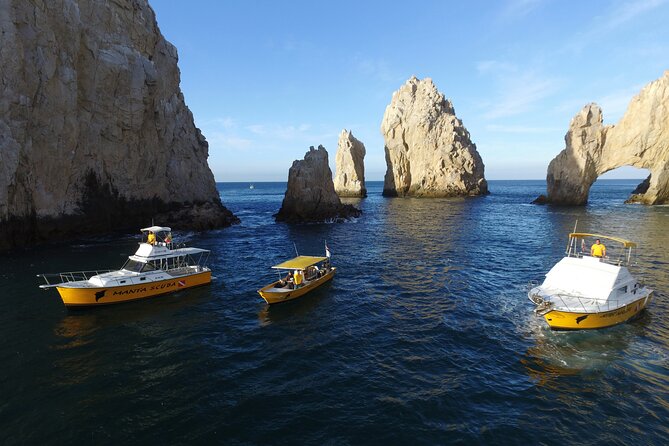 3-Tank Scuba in Marine Reserve and Corridor for Certified Divers - Price and Value: Is $210 Fair for What You Get?