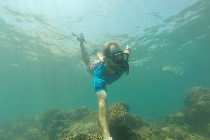 4-Hour Snorkeling Tour in Cabo San Lucas and Corridor - The 4 Stops That Make This Feel Like Cabo, Not Just Snorkeling