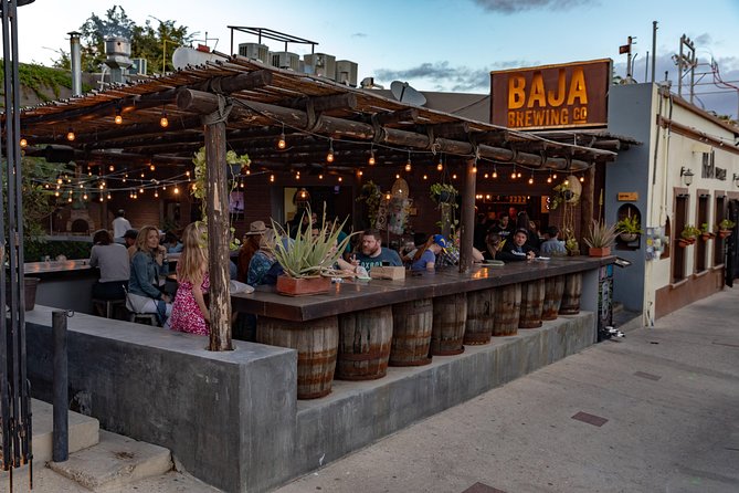 4 Hours Art Walk Experience in Cabo - Key highlights to know before you go
