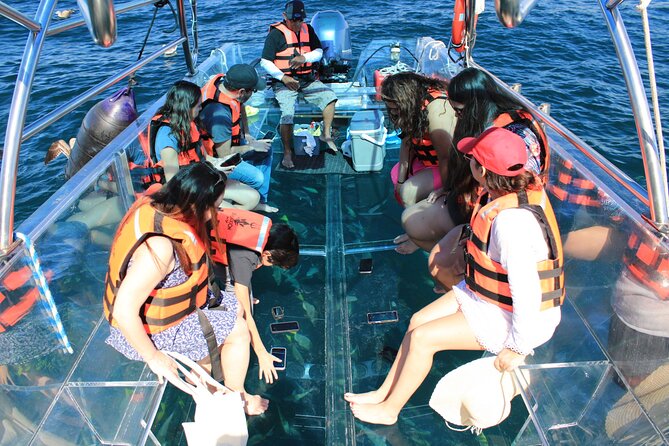 45 Minute Transparent Boat Ride to the Arch of Cabo San Lucas - English-Friendly, Small-Group, and Built for Most Visitors