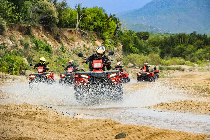 4x4 ATV Adventure with Tequila Tasting and Mexican Buffet Lunch - Quick take: what you should know before you book