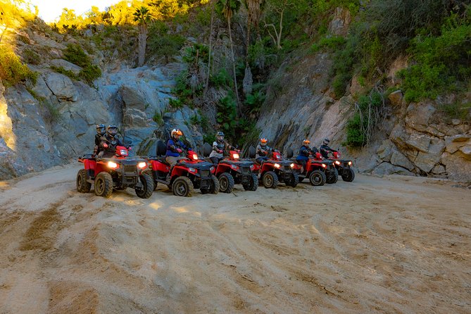 4x4 ATV Adventure with Tequila Tasting and Mexican Buffet Lunch - Cabo Desert ATV With Tequila and Buffet: The Main Idea