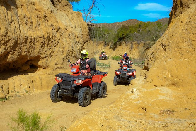 4x4 ATV Adventure with Tequila Tasting and Mexican Buffet Lunch - The ATV Route: Dirt, Cactus, Canyon, and Ocean Views