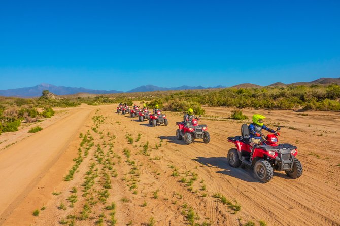 4x4 ATV Adventure with Tequila Tasting and Mexican Buffet Lunch - Lunch at the Ocean-Front Restaurant: More Than a Filler Meal