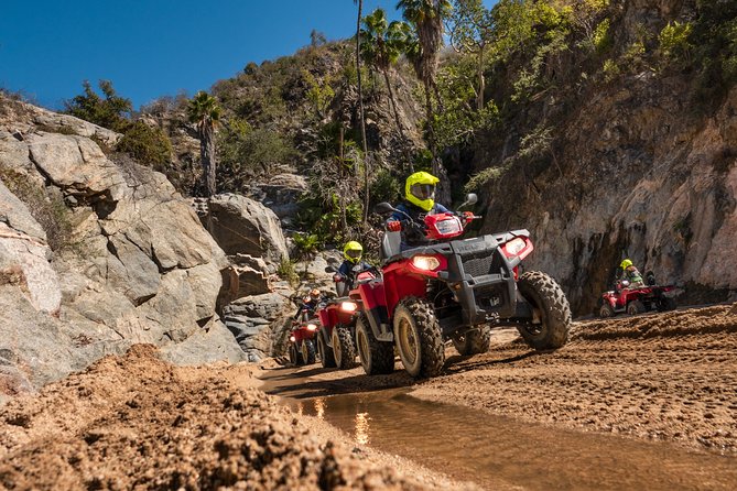 4x4 ATV Adventure with Tequila Tasting and Mexican Buffet Lunch - Tequila and Mezcal Tasting: Included, But Know What It Is