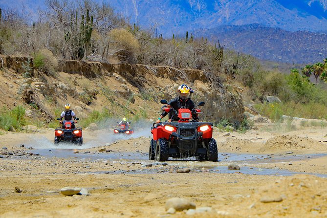 4x4 ATV Adventure with Tequila Tasting and Mexican Buffet Lunch - Group Size, Pacing, and Why Your Guide Matters