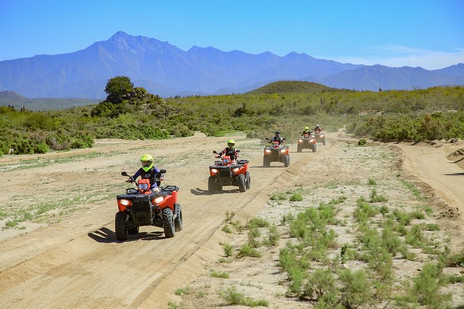 4x4 ATV Adventure with Tequila Tasting and Mexican Buffet Lunch - Price Reality: What $75 Covers and What You Pay on Arrival