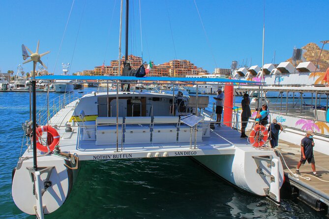 All Inclusive Cabo Boat Tour: Snorkeling, Food, and Drinks - How to Think About Value for $100 Per Person