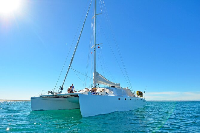 All-Inclusive catamaran Espiritu Santo Island Tour from Los Cabos - Price and Logistics: What You’re Really Paying For