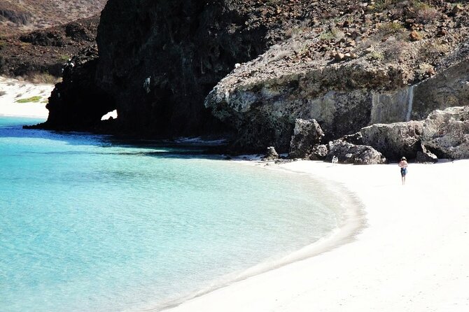 All-Inclusive catamaran Espiritu Santo Island Tour from Los Cabos - Should You Book This Espiritu Santo Catamaran Tour?