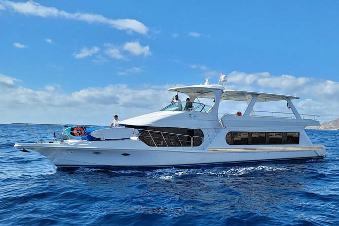 All Inclusive HUGE 75ft Yacht Up to 50 Guests Early Bird Promo - A 75-ft Cabo yacht day: what the all-inclusive setup means