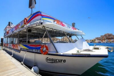 Amazing Cabo and Snorkel Adventure - The Land’s End cruise stops: El Arco, Pelican Rock, and fun photo viewpoints