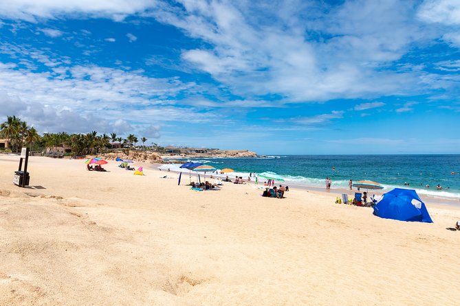 Arch Views & Snorkeling Paradise at Chileno Beach Private tour - How This Private Cabo Tour Plays Out in Real Life