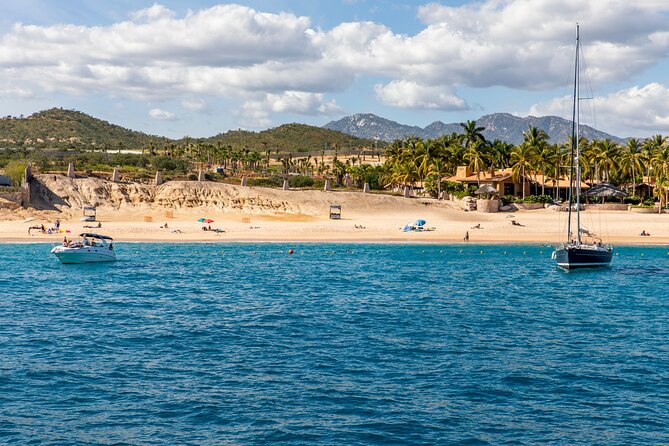 Arch Views & Snorkeling Paradise at Chileno Beach Private tour - Stop 3: A Blown Glass Factory Demonstration You Can Watch Up Close