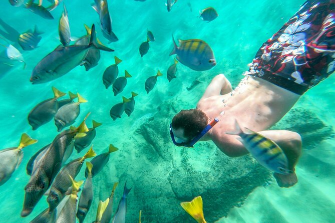 Arch Views & Snorkeling Paradise at Chileno Beach Private tour - Stop 4: Chileno Beach and Snorkeling in a Protected Bay