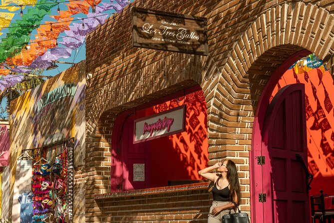 Art and Wine Evening City tour in San Jose del Cabo for Adults - Key highlights