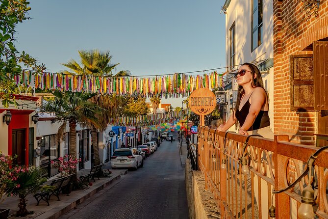 Art and Wine Evening City tour in San Jose del Cabo for Adults - Distillery Beer Tasting + Appetizers: Four Local Brews, No Guesswork