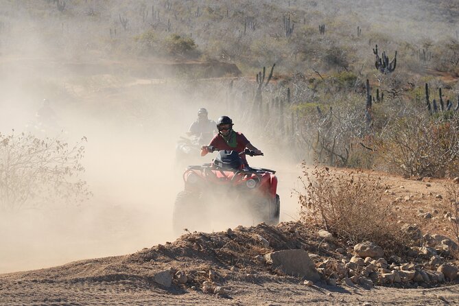 ATV and Camel Experience Los Cabos - Desert driving + a beach breather: what this tour is really like