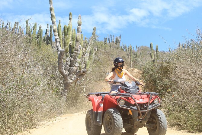 ATV and Camel Experience Los Cabos - Food, water, and the small-group advantage (up to 16)