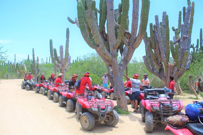 ATV Desert & Beach ride over the mountains and through Migrino beach! - Key highlights worth your time