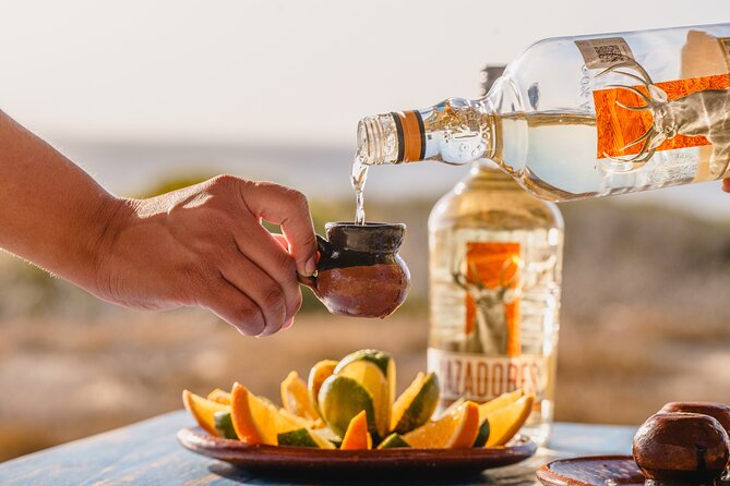 ATV Tour, Camel Ride, Tequila Tasting and Mexican Buffet Lunch - Two-for-one Baja fun at Tierra Sagrada