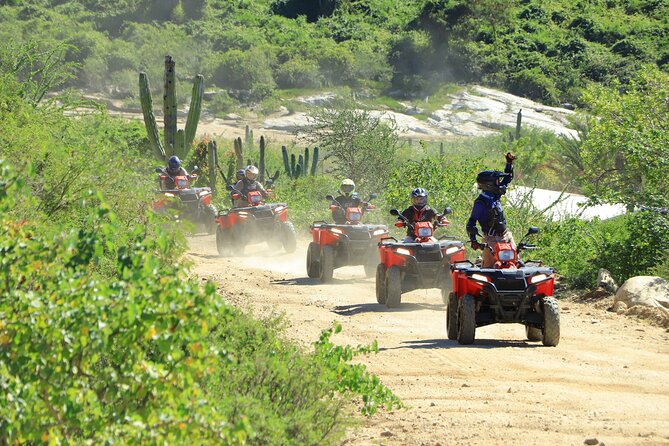ATV Tour, Camel Ride, Tequila Tasting and Mexican Buffet Lunch - Key moments you should care about