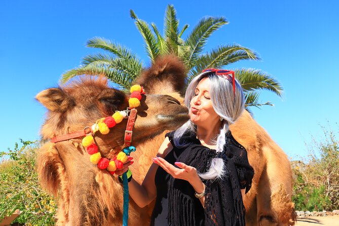 ATV Tour, Camel Ride, Tequila Tasting and Mexican Buffet Lunch - Tequila tasting and Mexican buffet lunch: where the day becomes real