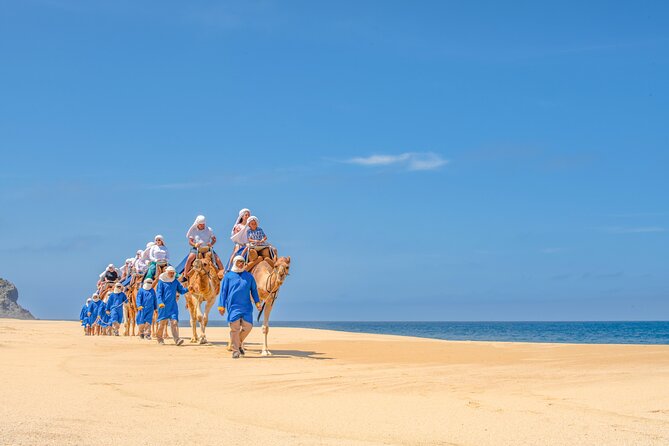 ATV Tour, Camel Ride, Tequila Tasting and Mexican Buffet Lunch - Photos: why your final cost can jump fast