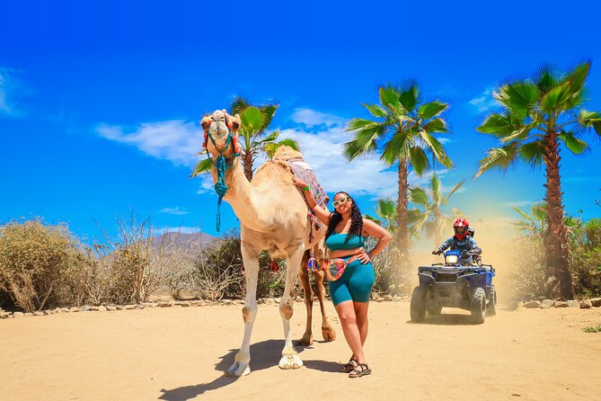 ATV Tour, Camel Ride, Tequila Tasting and Mexican Buffet Lunch - Tierra Sagrada Sacred Ranch: what the start feels like