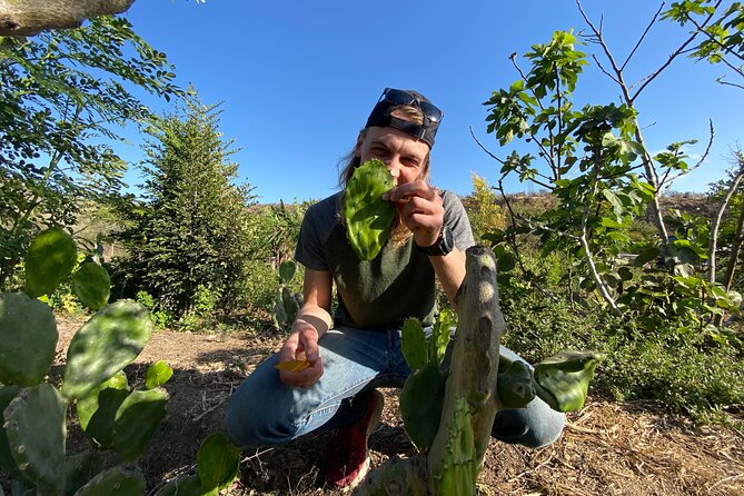 Azteca Tacos Cooking Class - Nopal 101: learning the cactus before you cook with it