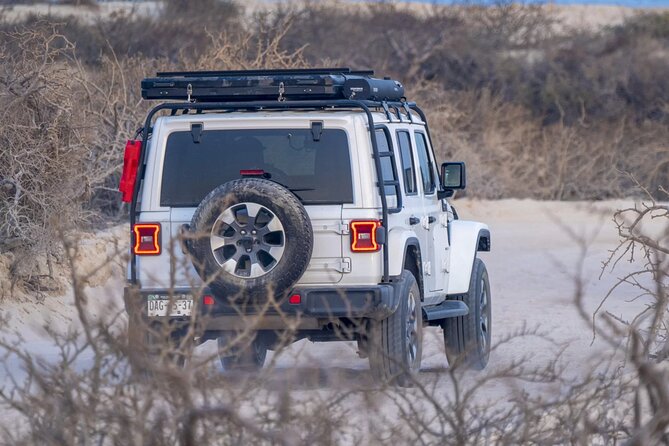 Baja Surf Expeditions - Price and Value: Is $150 Per Person a Good Deal?