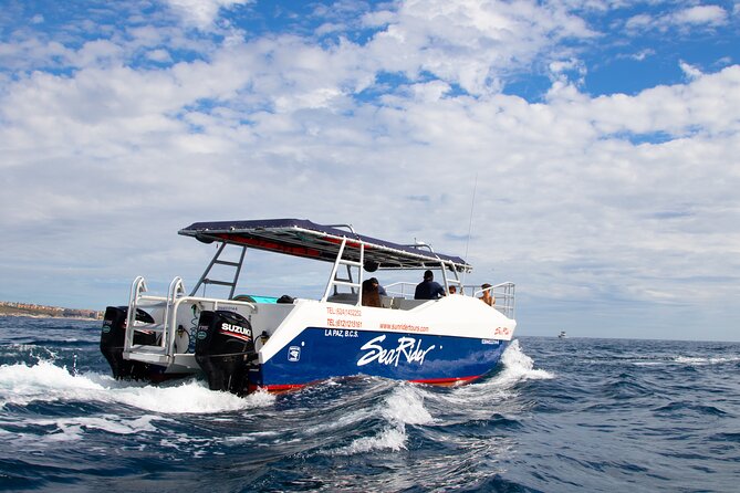 Bay Trip and the Arch of Cabo San Lucas - Stop 1: El Arco de Cabo San Lucas photo stop without the scramble