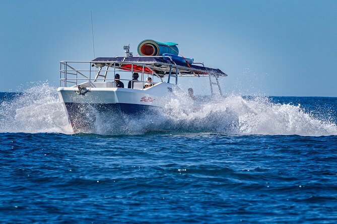 Bay Trip and the Arch of Cabo San Lucas - Price and logistics: what $50 really means once you’re at the dock