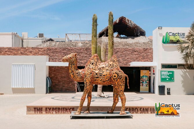 Beach and Desert Mini Razor Tour in Cabo - Logistics that matter in Cabo: pickup zones and what to bring
