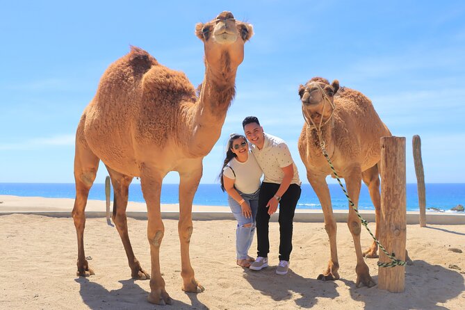 Beach, ATV, and Camel Ride Combo Tour - Price and Value: What You Pay Up Front vs. What Costs Extra