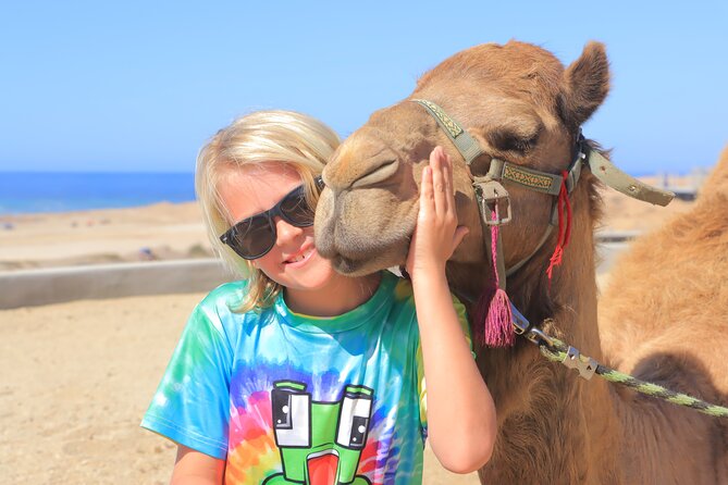 Beach Camel Ride and Encounter in Cabo - Key points before you go